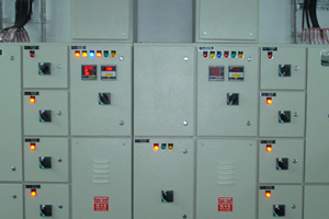 The clearing corporation of India